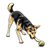 Happy Fun Sticker by abana a cauda
