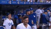 los angeles dodgers cody bellinger GIF by MLB