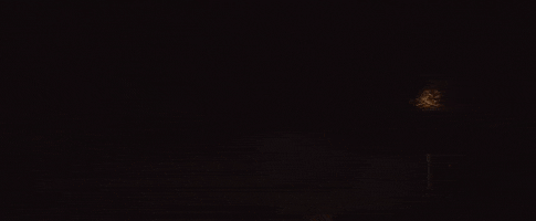 schimeneweber giphygifmaker GIF