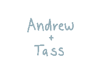 tasssaysmeow ngwedding sayngido tasssaysmeow Sticker