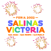 salinasvictoria 2022 victoria feria salinas Sticker
