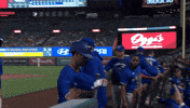 Blue Jays Baseball GIF by Toronto Blue Jays