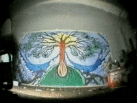 Seed GIF by Sublime