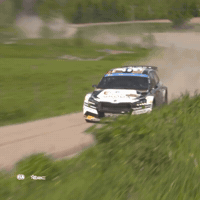 Breaking Wait For Me GIF by FIA European Rally Championship