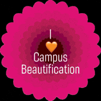 Virginia Tech Hokies GIF by Division of Facilities – Virginia Tech