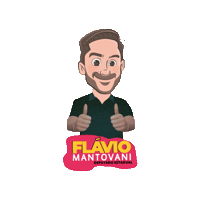 flaviomantovaniooficial flaviomantovani deputadoflaviomantovani Sticker