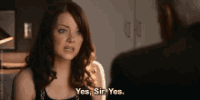cat discover GIF