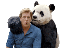 Bear Flirt Sticker by Freek Vonk