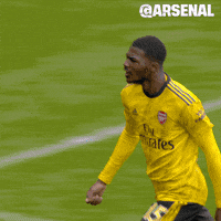Premier League Soccer GIF by Arsenal