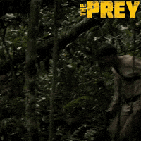 ravenbanner movie film movies fantasia GIF