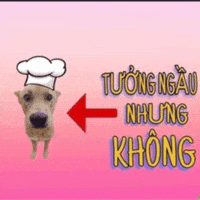 Dog Cho GIF