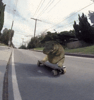 Tony Hawks Crypto GIF