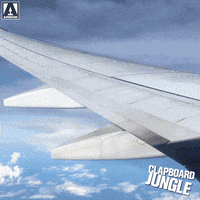 Flying Lets Go GIF by Arrow Video