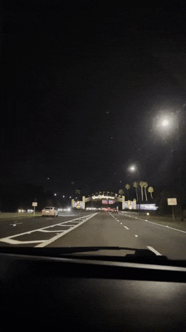 kellytraceygagnon giphyupload GIF