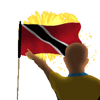 Tnt Trinidad Sticker by UnicomerCourtsCaribbean