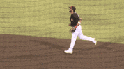 High Five San Diego Padres GIF by El Paso Chihuahuas