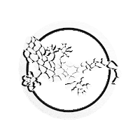 Social Media Agency Sticker by egegen