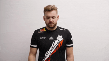 Oh No Facepalm GIF by G2 Esports