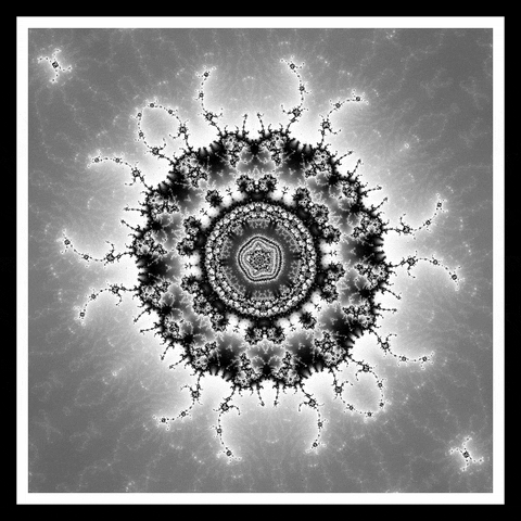 Art Loop GIF by xponentialdesign