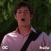 The Oc Omg GIF by HULU