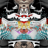 GIF by Leo Pyrata