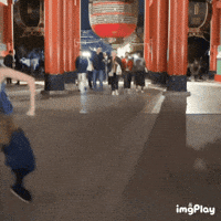 Fun Demonslayer GIF