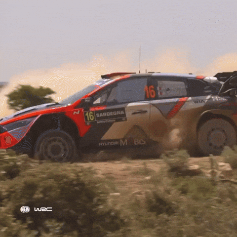 Hyundai GIF by FIA World Rally Championship