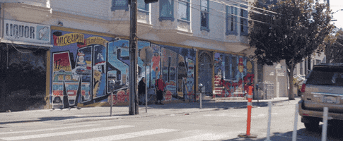San Francisco Skate GIF by Hardly Art