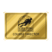 Logo Gold Sticker by Scuba Diving International