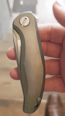 nilknarf1 shiro stellar shirogorov GIF