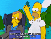 homer simpson episode 22 GIF