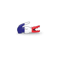 France Ok GIF by LACOSTE