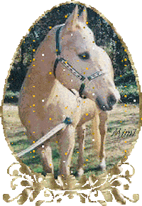 Rip Sparkles Sticker by feeble little horse