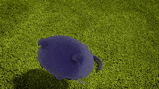 Oh No GIF by True and the Rainbow Kingdom