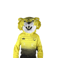 Pointup Majorleaguerugby Sticker by Houston SaberCats Rugby