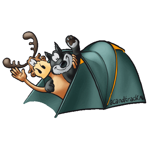 scandtrack giphyupload wave camping outdoor Sticker
