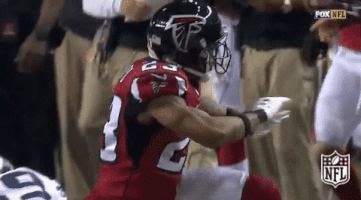 atlanta falcons no GIF by NFL