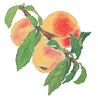 이상점 Sticker