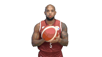 World Cup Sticker by FIBA