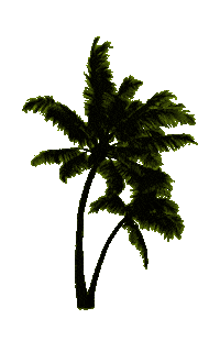 Palm Tree Neon Sticker by INFSD SWIMWEAR