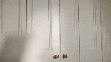 Stand Up Comedy GIF by The Emily Atack Show