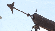 usu GIF by Utah State University