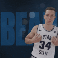 Usu GIF by USUAthletics