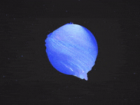 LifeSigner planet visuals generative art music beat reaction GIF