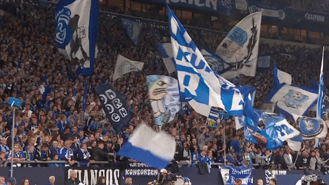Football Soccer GIF by FC Schalke 04