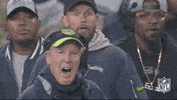 National Football League GIF by NFL