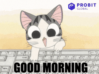 Good Morning Cat GIF by ProBit Global