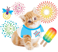 Red White And Blue Cat Sticker by Schoolgirl Style Classroom Decor