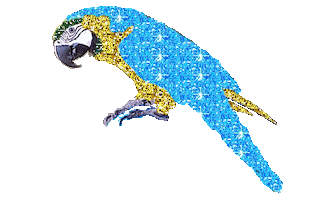 bird STICKER