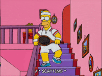 homer simpson GIF